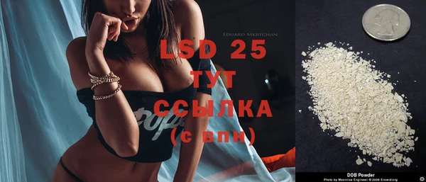 ГАЛЛЮЦИНОГЕННЫЕ ГРИБЫ Белоозёрский