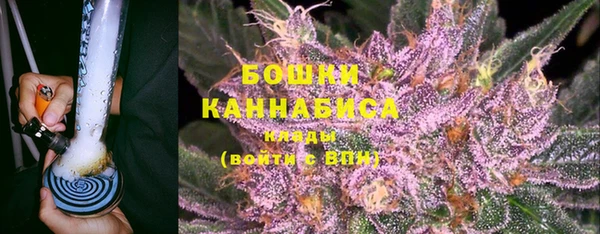 ГАЛЛЮЦИНОГЕННЫЕ ГРИБЫ Белоозёрский