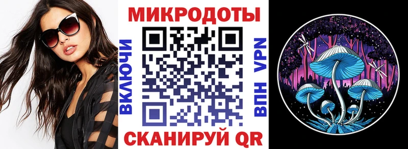 купить закладку  Онега  Псилоцибиновые грибы MAGIC MUSHROOMS 